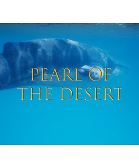 Pearl of the Desert Steam Key GLOBAL